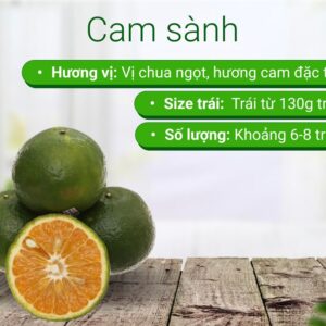 Cam Sành Hưng Yên