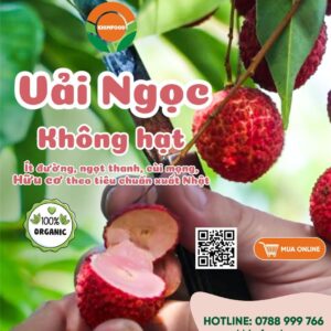 Vải Ngọc Không Hạt